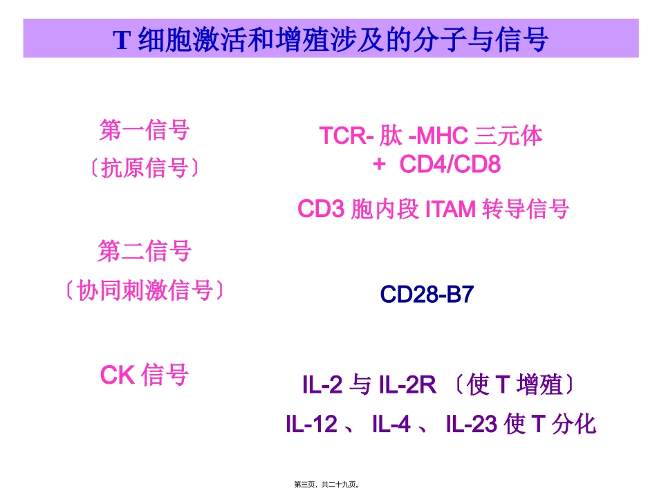 T-细胞激活_第3页