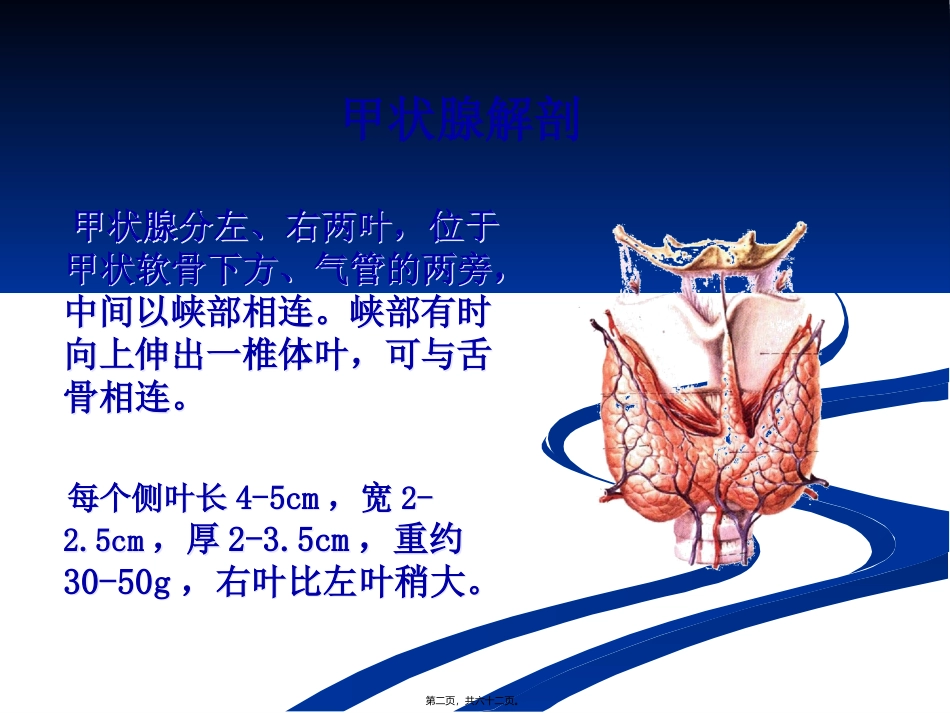 医学教学课件 甲状腺功能与心血管_第2页