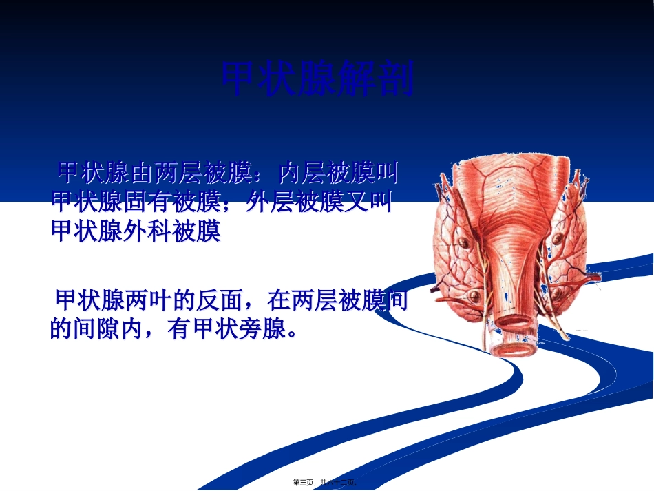 医学教学课件 甲状腺功能与心血管_第3页