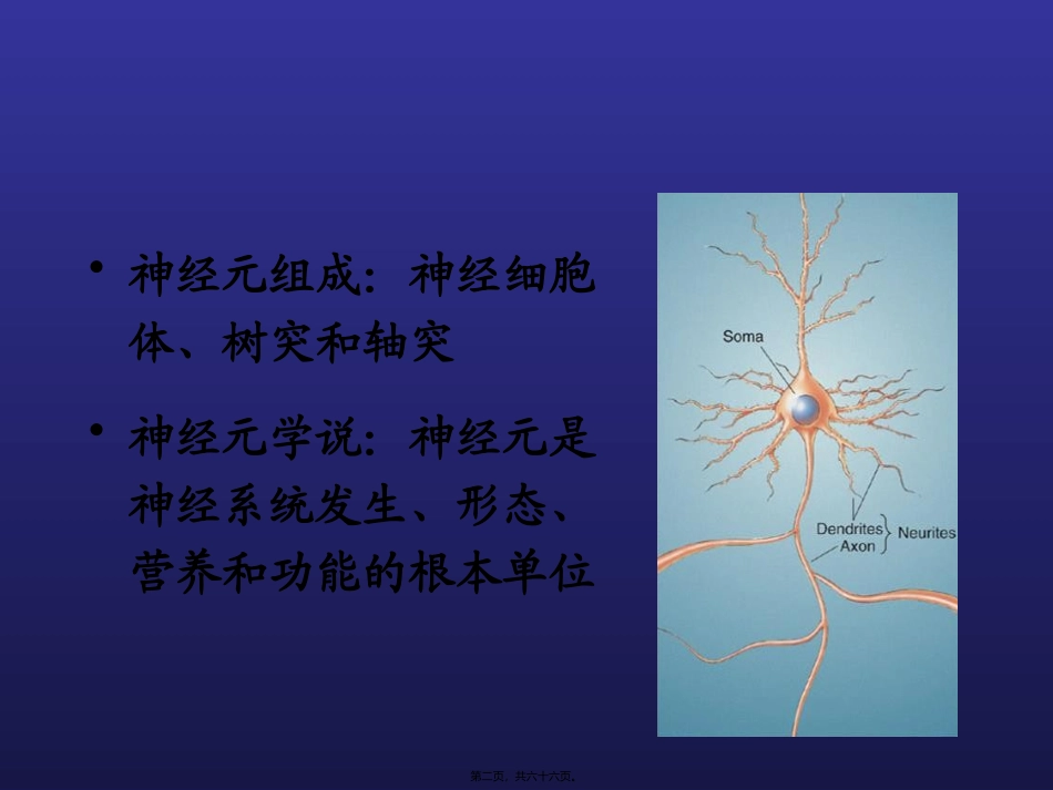 医学教学课件 脑结构与认知_第2页
