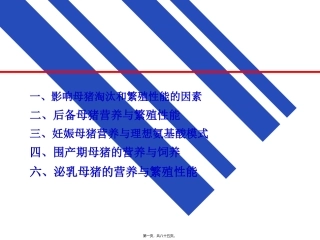 母猪营养  养殖教学培训课件