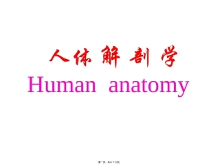 医学教学课件 内脏总论、消化管