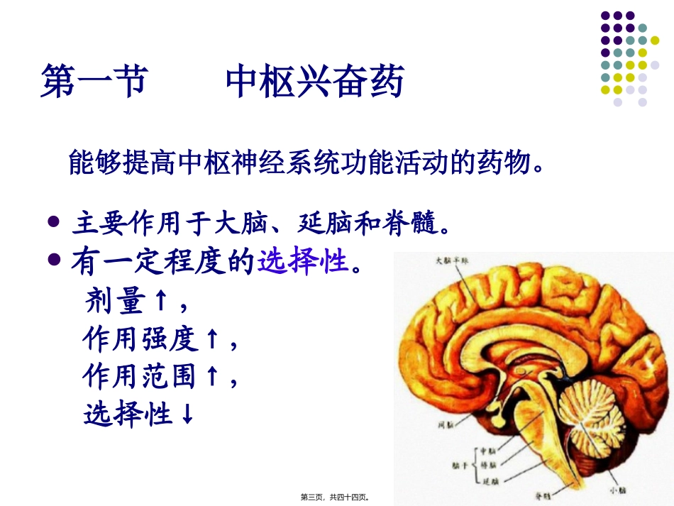 中枢兴奋药和利尿药医学教学课件_第3页