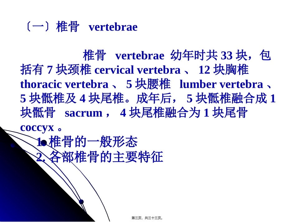 医学教学课件 躯干骨及其骨连结_第3页