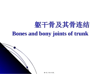 医学教学课件 躯干骨及其骨连结