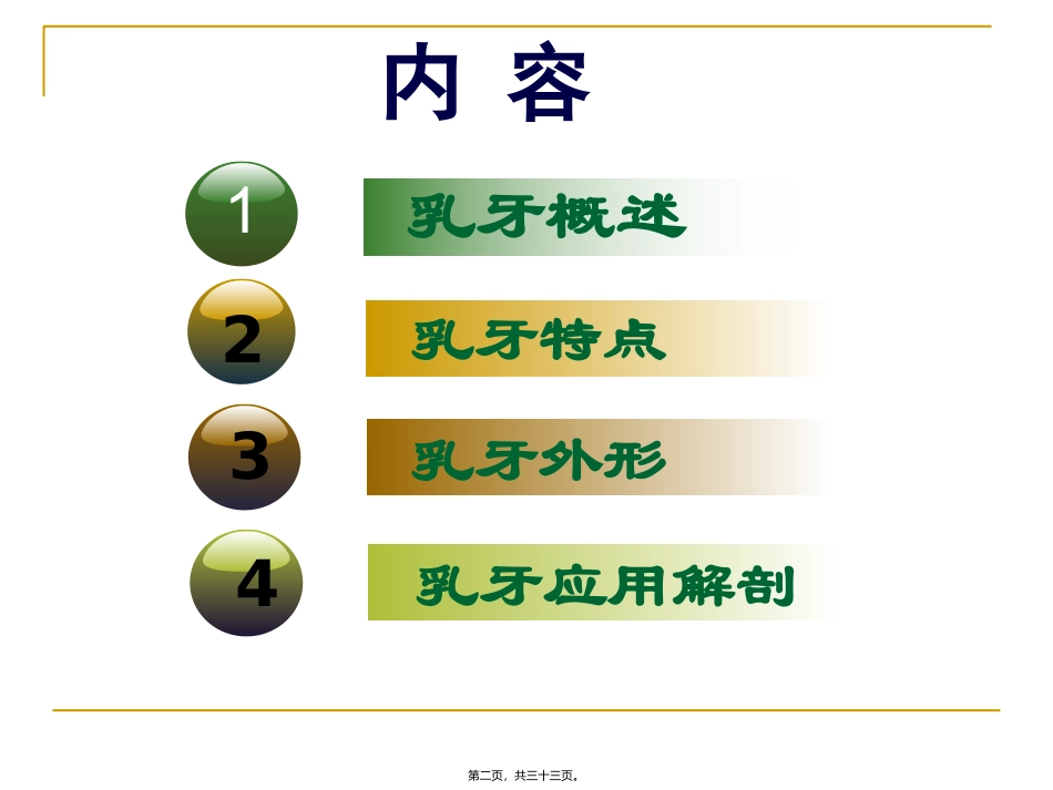医学教学课件 乳牙外形_第2页