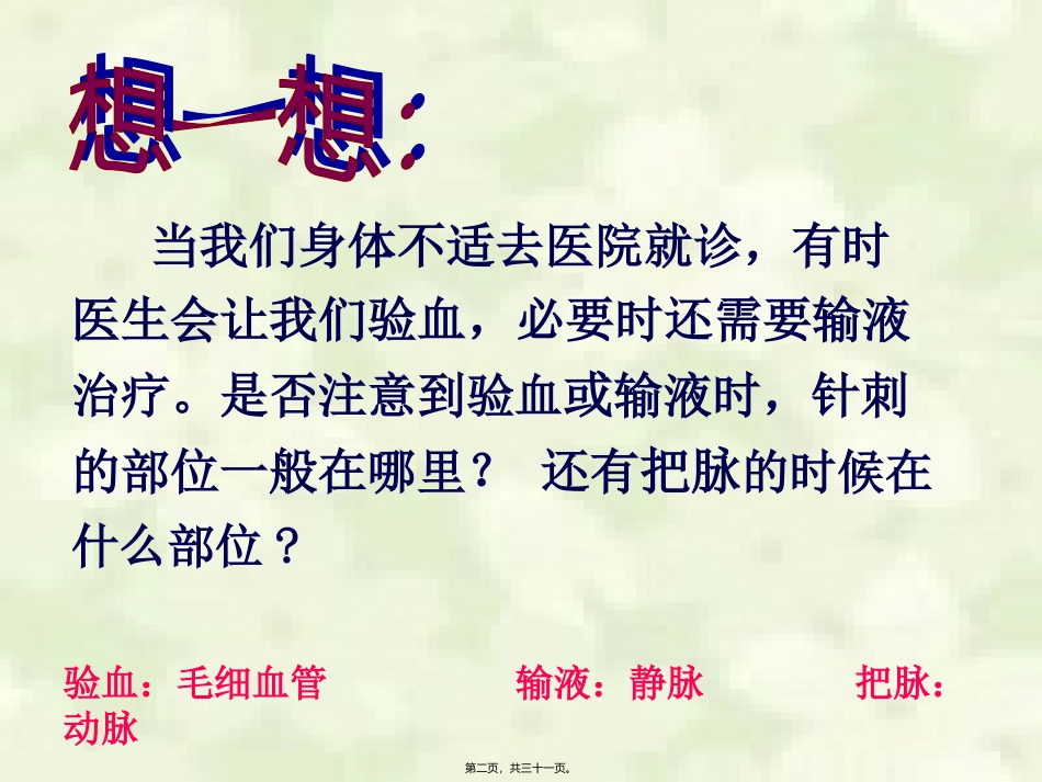 人教版初中生物七年级下册《血流的管道—血管》教学课件_第2页