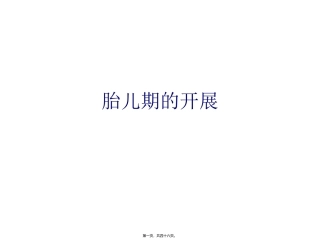 医学教学课件 胎儿期的发展 怎样产下健康聪明的宝宝