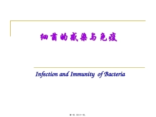 医学教学课件 细菌感染与免疫