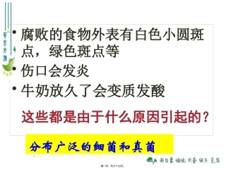 医学教学课件 细菌和真菌的分布