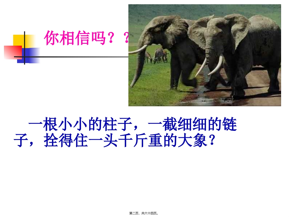 三年级习惯养成主题班会课件_第2页