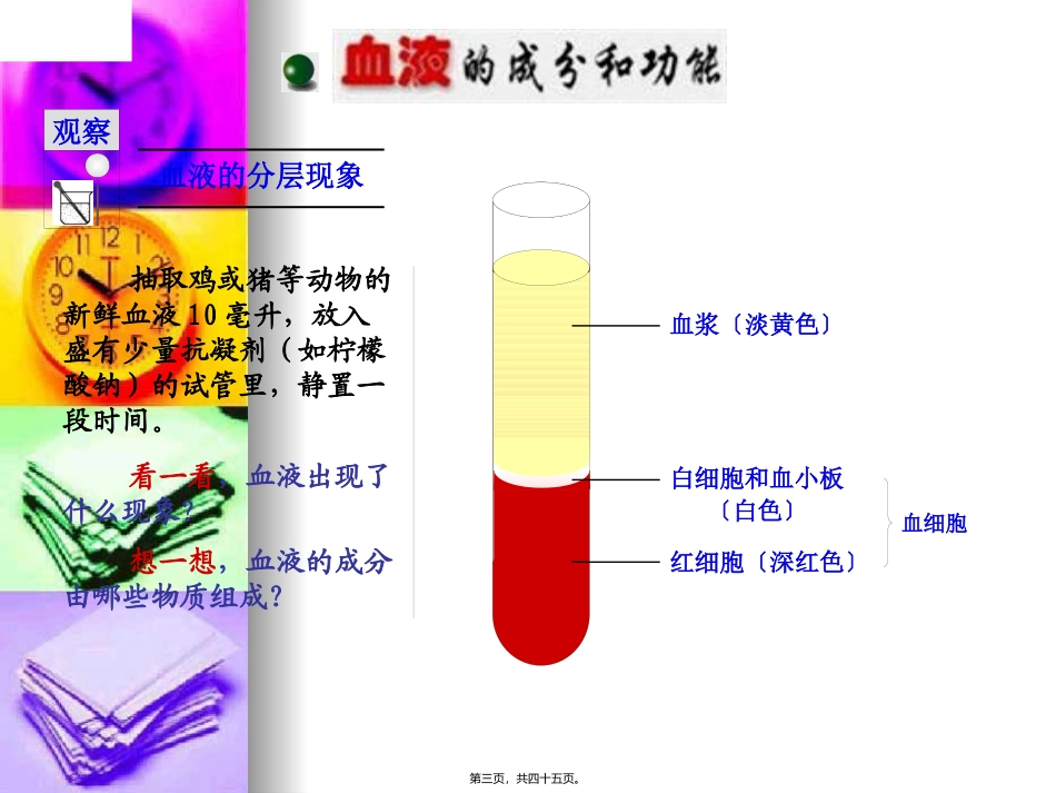 医学教学课件 血液和血型_第3页