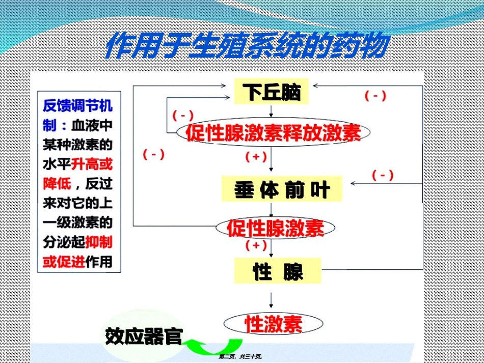 8.第七章-生殖系统药理-陈海兰_第2页