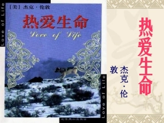 8.热爱生命汇总