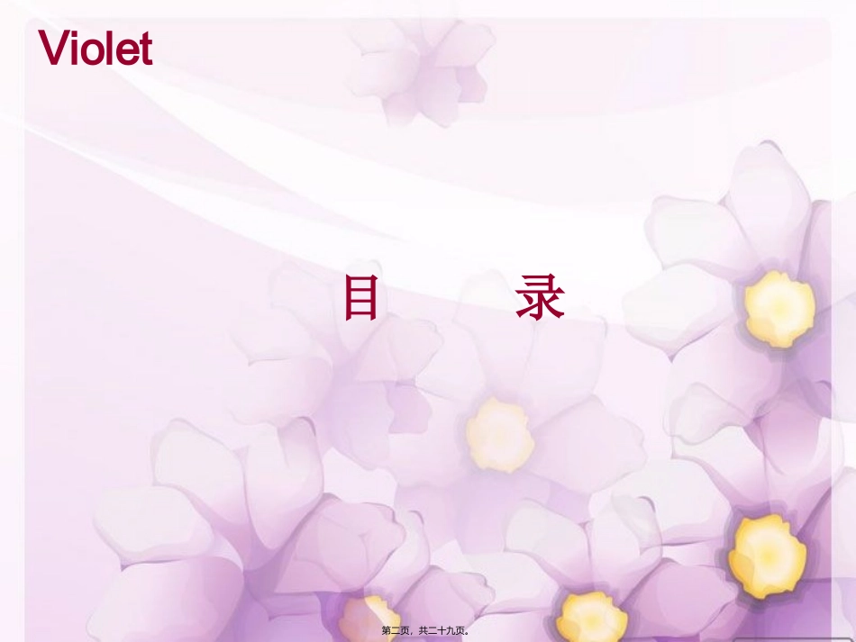 VIP专场活动_第2页