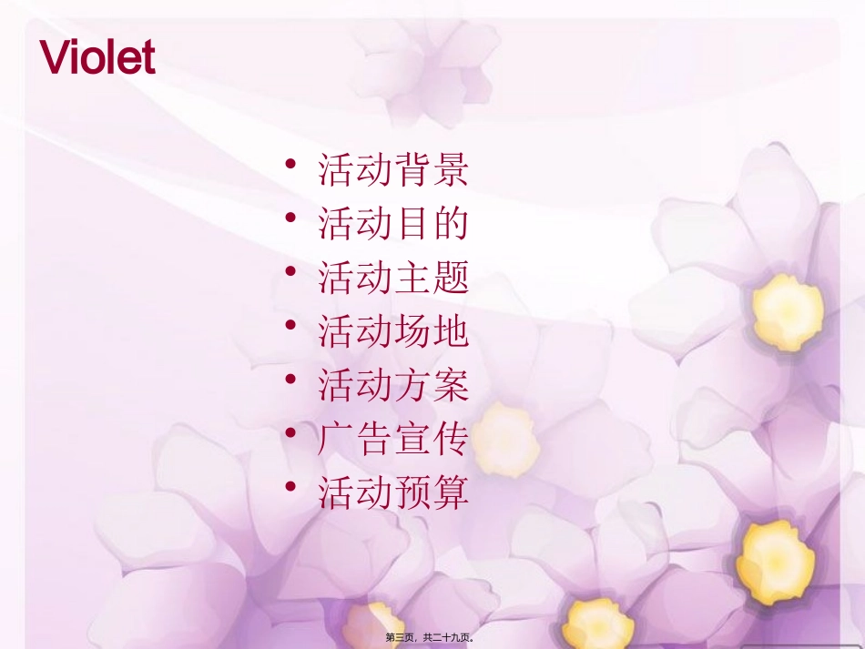 VIP专场活动_第3页