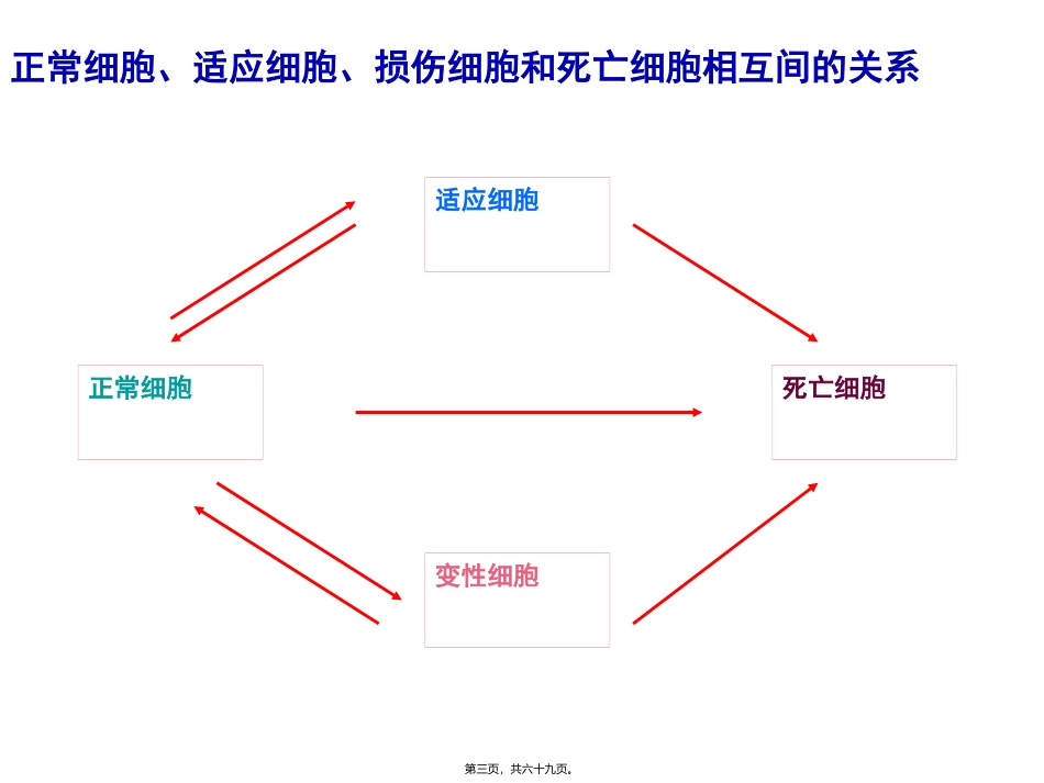 医学教学课件 组织细胞损伤变性_第3页