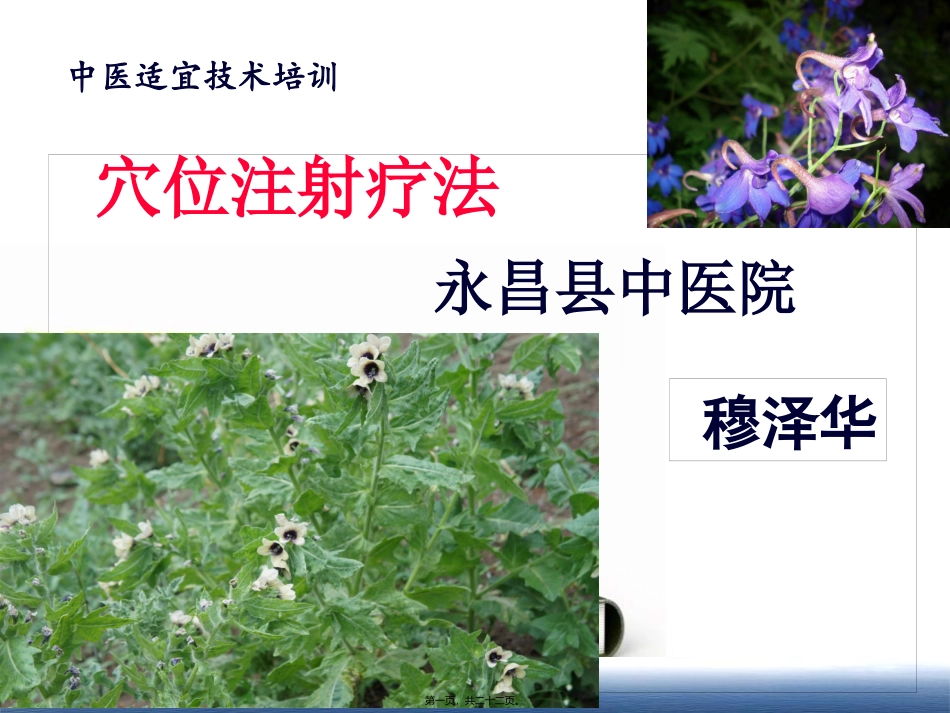 8.穴位注射疗法_第1页