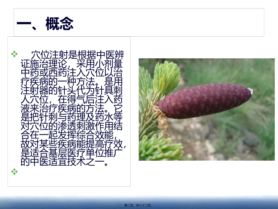 8.穴位注射疗法_第2页