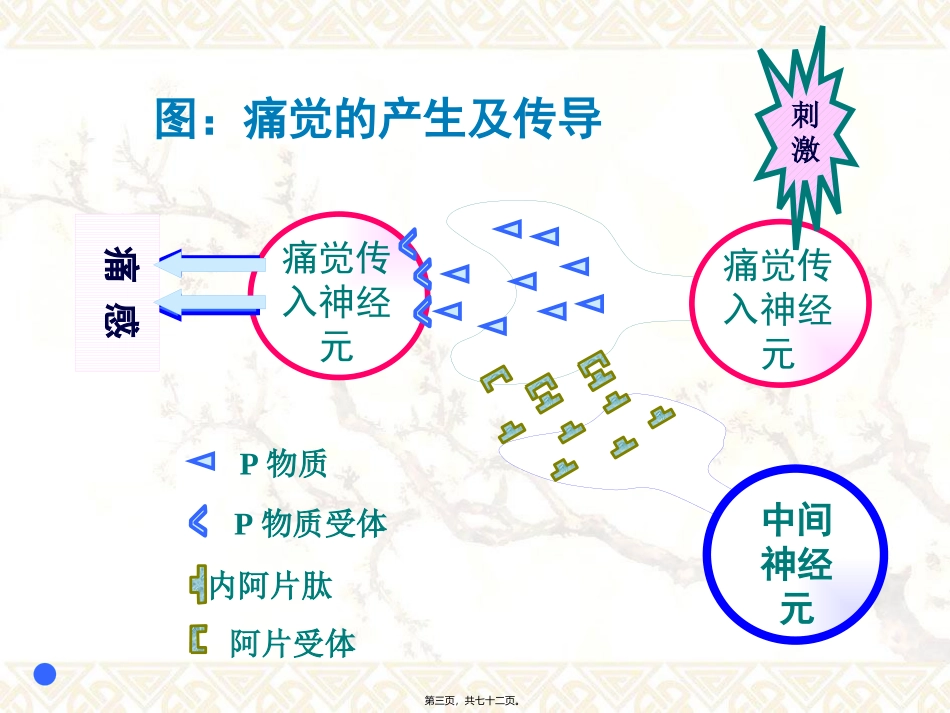 8.镇痛药汇总_第3页