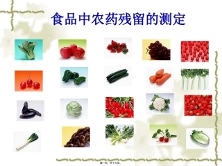 食品中农药残留的测定 培训课件