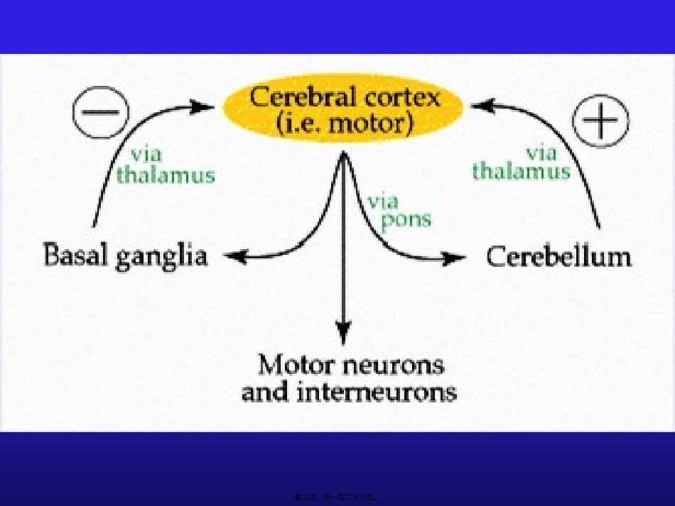 8.锥体外系和小脑(2007进修)_第2页