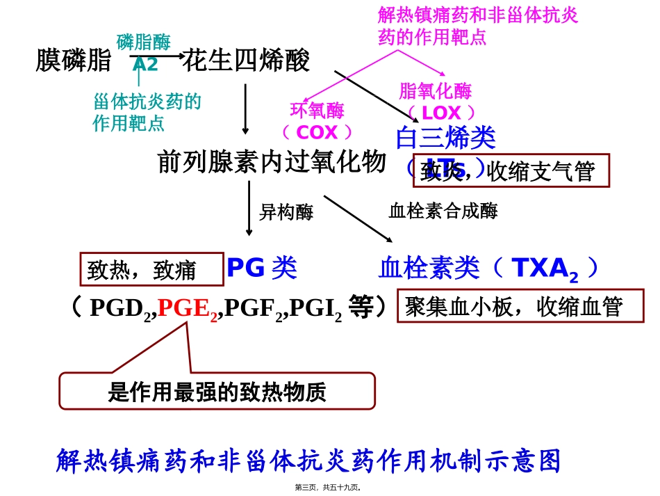 医学教学设计 解热镇痛药及非甾体抗炎药_第3页