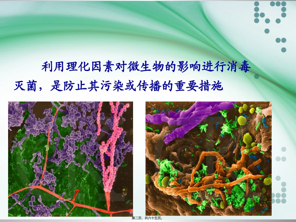 医学培训教学课件 第五节  抑制或杀死微生物的理化因素_第2页