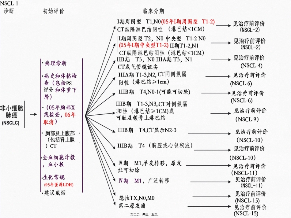 NCCN非小细胞肺癌指南黄金升级版中文_第2页
