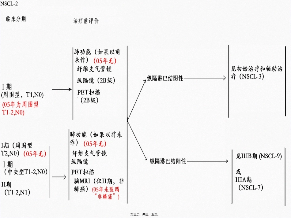 NCCN非小细胞肺癌指南黄金升级版中文_第3页