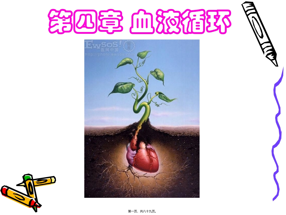 医学培训教学课件 血液循环_第1页