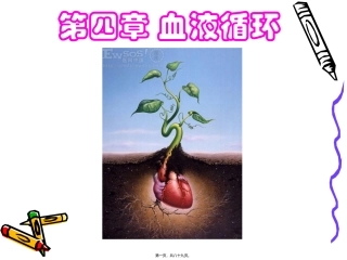 医学培训教学课件 血液循环