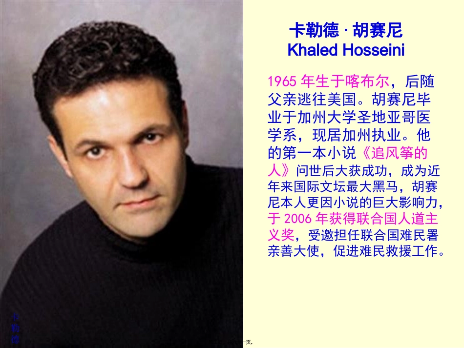 灿烂千阳讲稿-A-thousand-splendid-suns_第2页