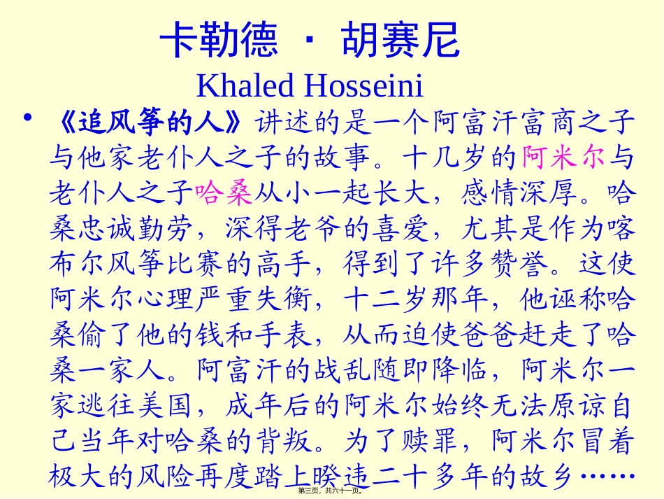 灿烂千阳讲稿-A-thousand-splendid-suns_第3页