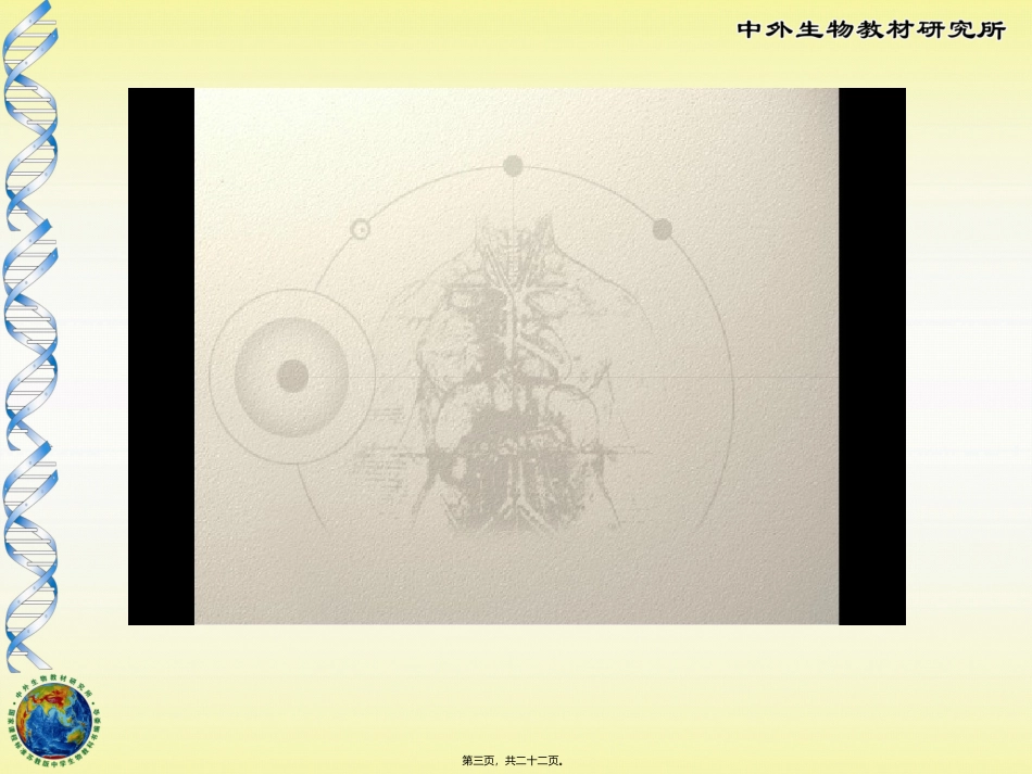 8-3第三节-人体概述_第3页