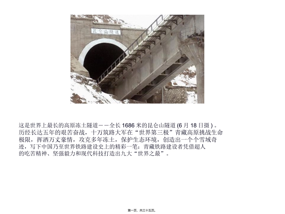 藏原羚在清水河特大桥旁活动_第1页
