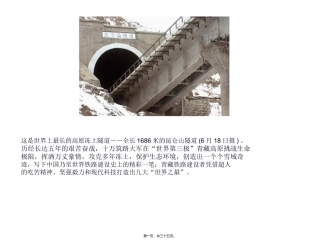 藏原羚在清水河特大桥旁活动