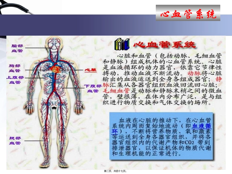 医学培训课件 血液循环-心脏生理资料_第2页