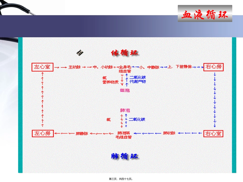 医学培训课件 血液循环-心脏生理资料_第3页