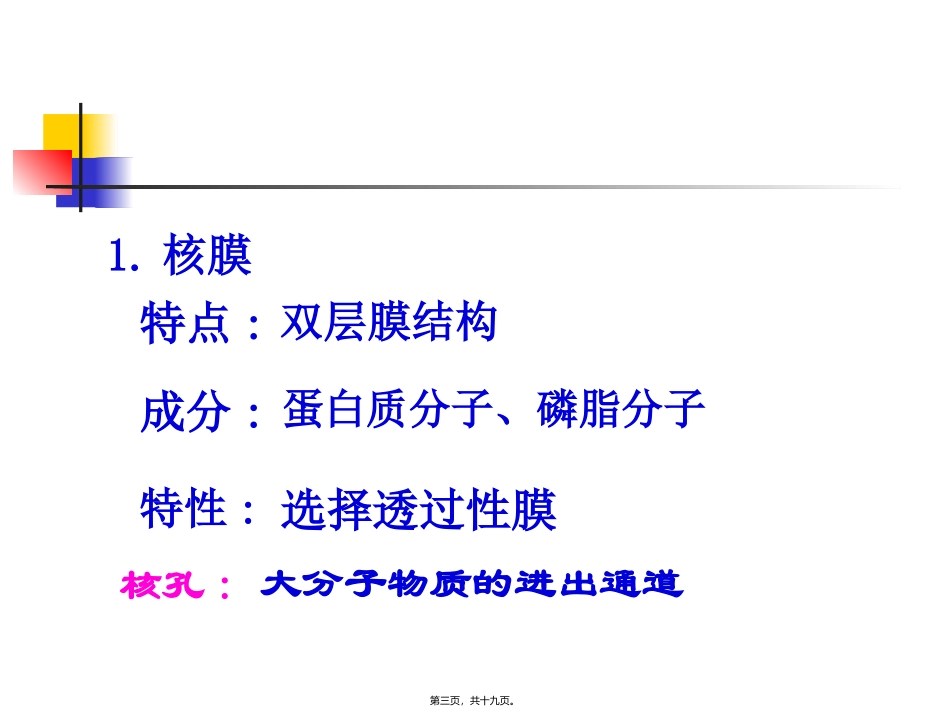 细胞核的构和功能 教学课件_第3页