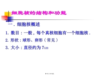 细胞核的构和功能 教学课件