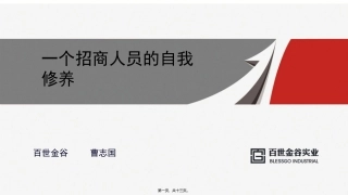 曹志国-下午演讲1-招商人员的自我修养新