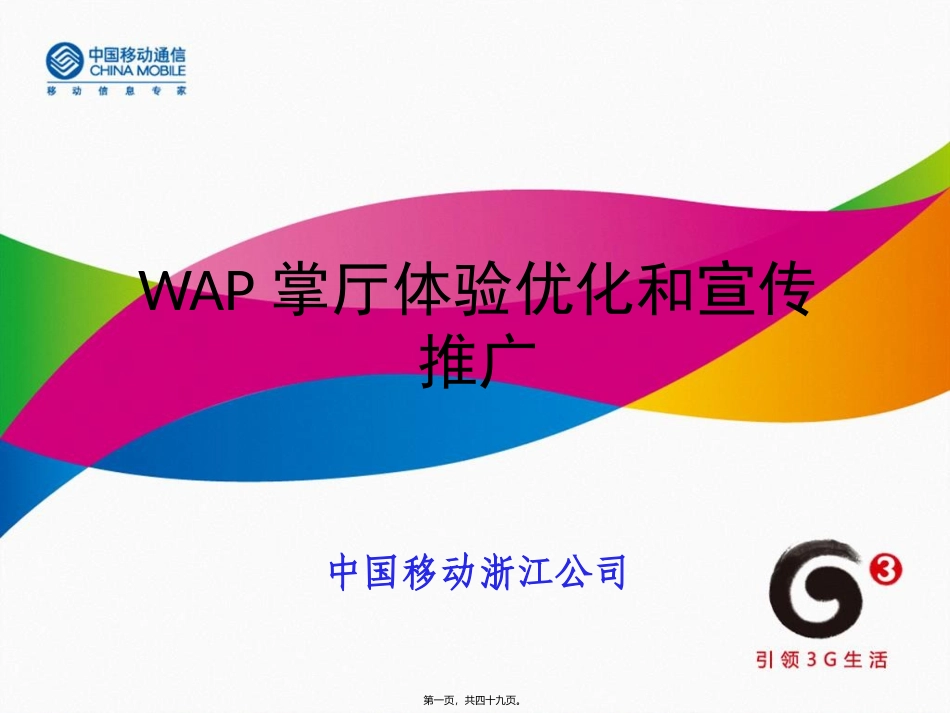 WAP渠道体验优化和宣传推广(浙江公司)_第1页