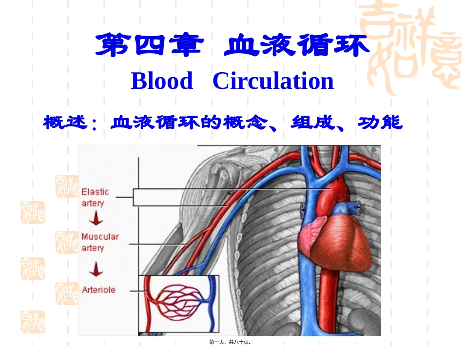 心脏生理高级护理第四章 血液循环资料_第1页