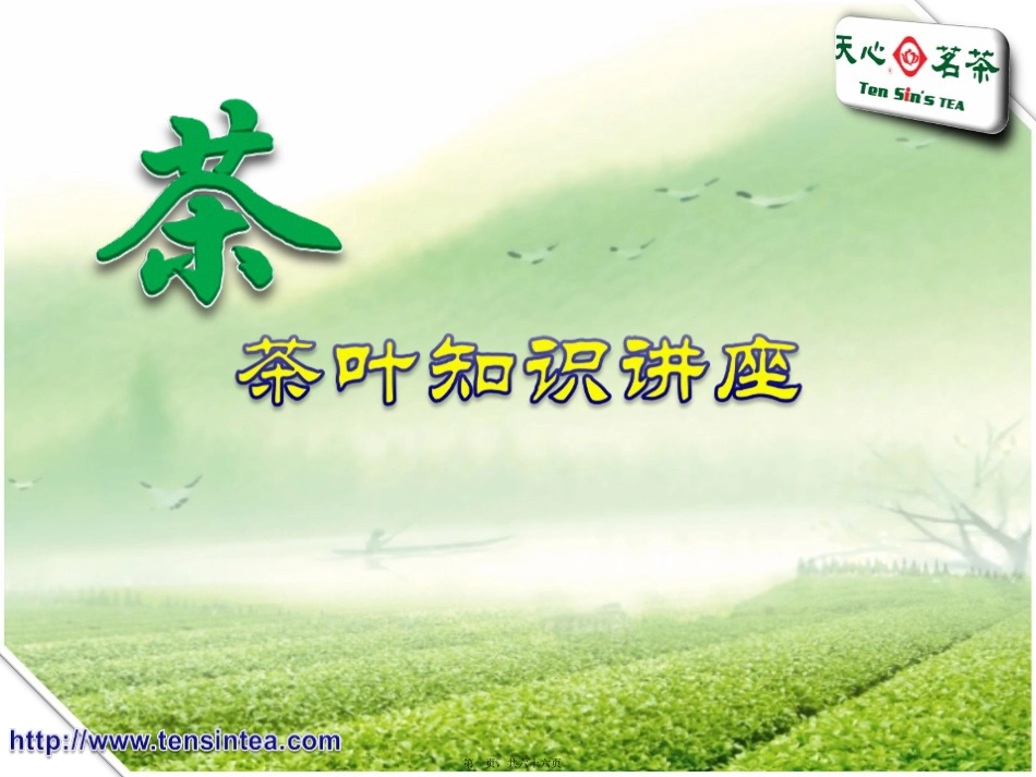 茶叶知识讲座_第1页