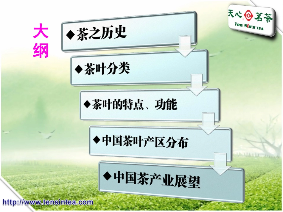 茶叶知识讲座_第2页