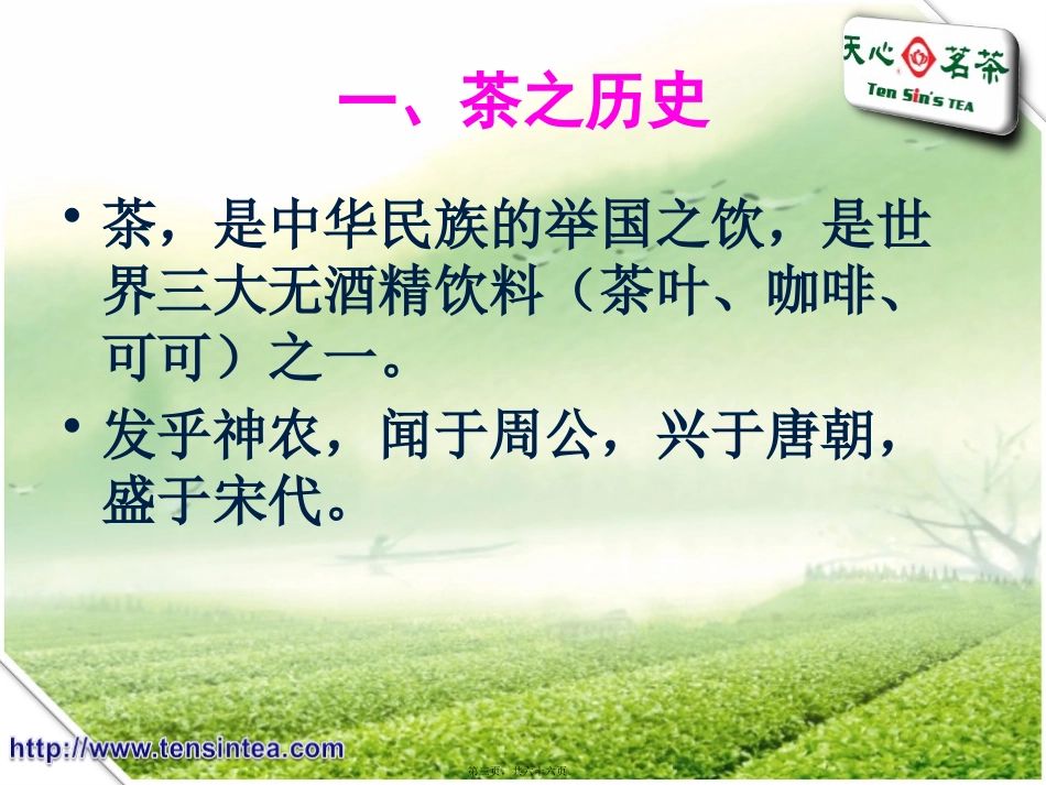 茶叶知识讲座_第3页