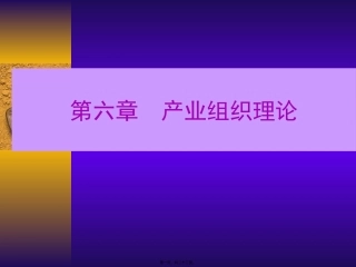 产经第6章产业组织理论