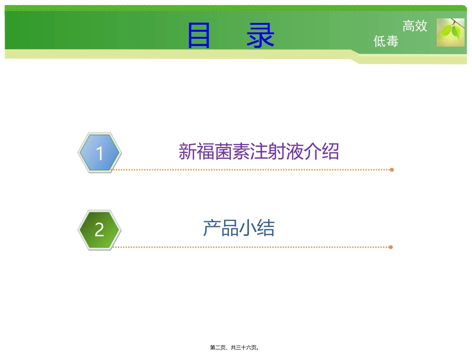 8-20新福菌素放化疗_第2页