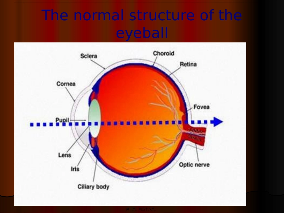 Diabetic-retinopathy糖尿病视网膜病变英文_第1页